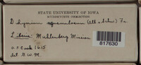 Image Associated With the Occurence